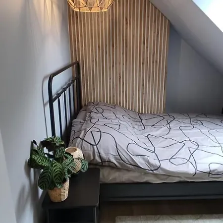 Na Kaszubach Nad Jeziorem - Prywatne Jacuzzi I Rowerek Wodny * Kamień